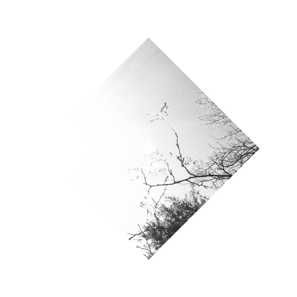 Minimal Branch